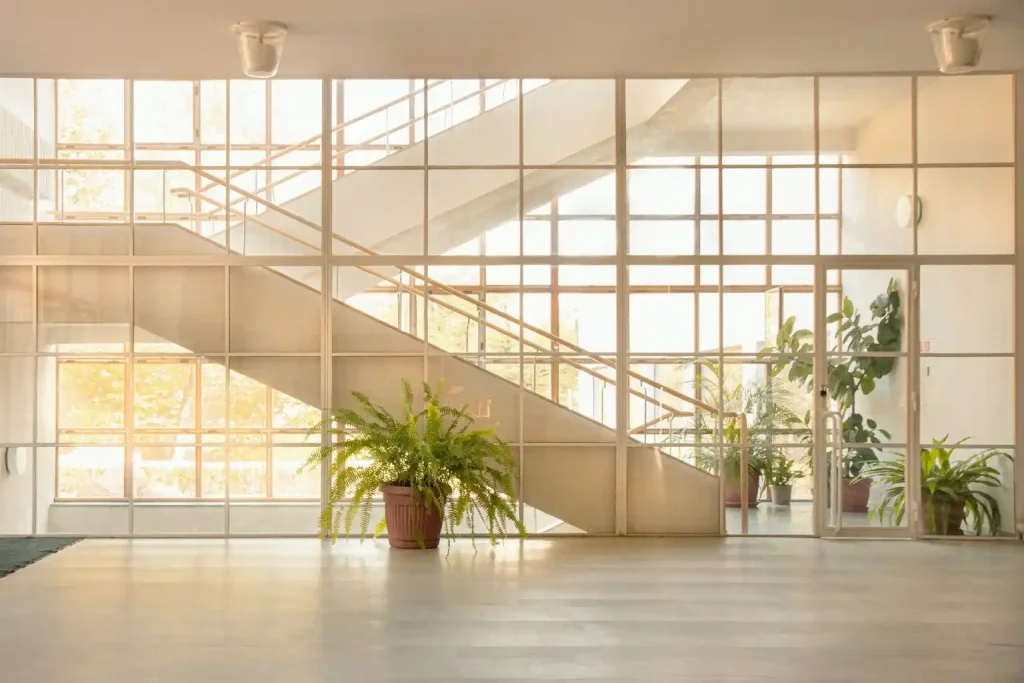 A bright, sunlit interior with a large potted fern in the foreground and a staircase behind a glass wall.