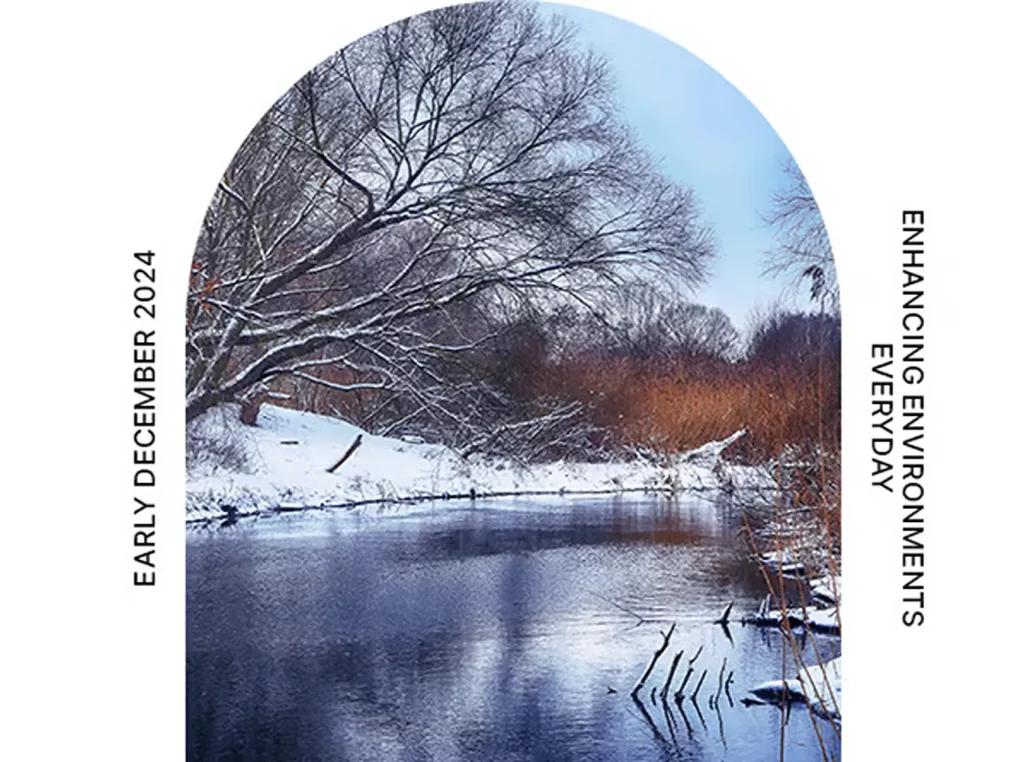 Early December 2024 E-Newsletter
